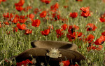 Teaching Your Kids about World War I