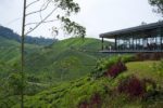Travel by bus from KL to Cameron Highlands