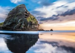 5 Things Not To Miss In Auckland